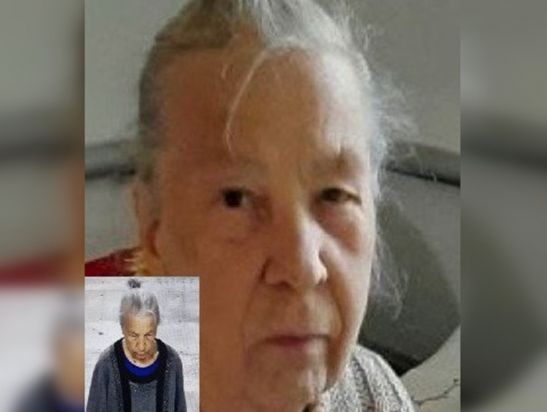 В Ростовской области ищут пропавшую 80-летнюю жительницу Москвы