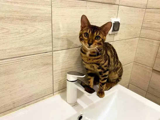 В Ростове 4 июня сорвали сроки подачи воды в Советский район