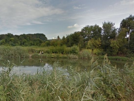 В Ростове из реки в Ботаническом саду выловили тело мужчины