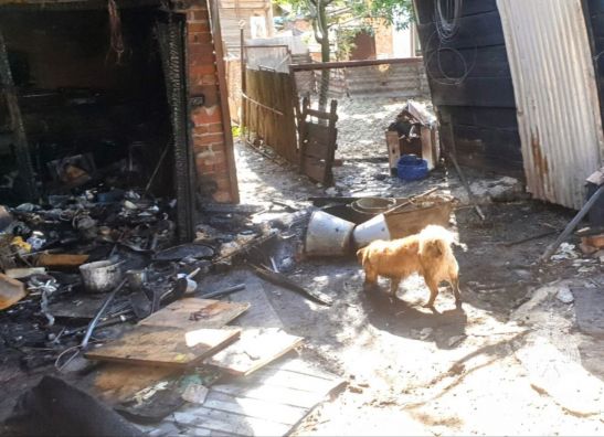 В Ростовской области мужчина едва не погиб, спасая собаку из пожара