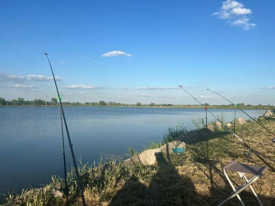 В Ростове рыбаки жалуются на отсутствие рыбы в платном водоеме