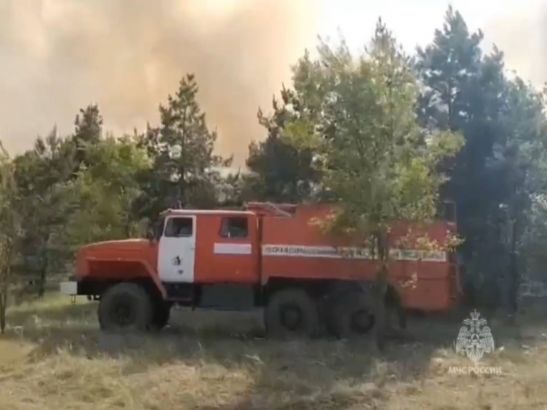 В Ростовской области снова бушует крупный лесной пожар