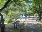 В Ростове ветки дерева упали на детскую площадку на Северном