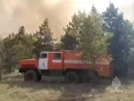 Причиной крупных лесных пожаров в Ростовской области стали разряды молнии