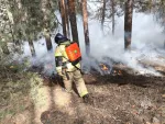 В Ростовской области потушили масштабный лесной пожар