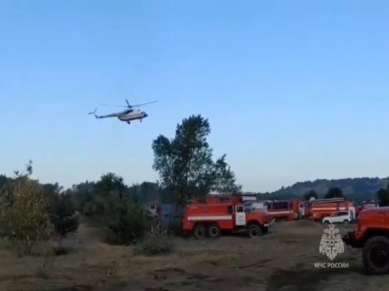 В Ростовской области площадь пожара в лесу увеличилась до 37 гектаров