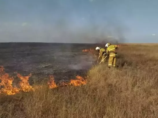 В Ростовской области прогнозируют высокую пожароопасность 1 августа