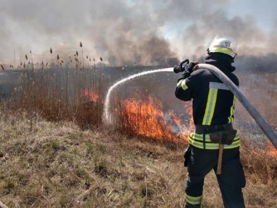 В Ростовской области бушует гигантский ландшафтный пожар
