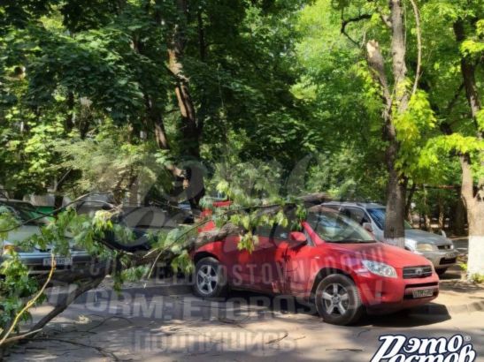 В Ростове дерево рухнуло на припаркованную машину на 2-й Краснодарской