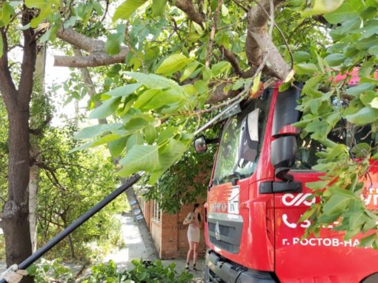 В Ростове на Тибетской убрали дерево, рухнувшее на машины