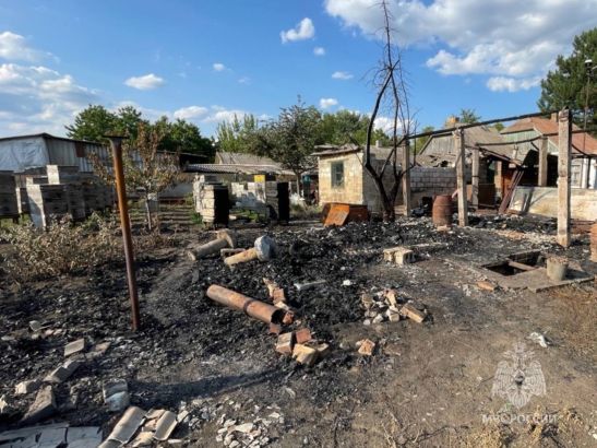 В Ростовской области женщина спалила свой участок, когда пыталась успокоить пчел
