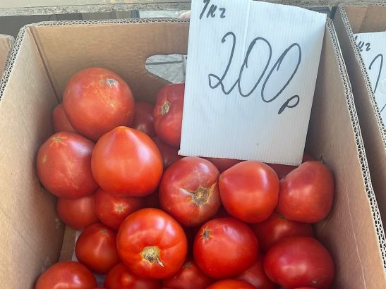 В Ростове цена на помидоры за неделю увеличилась вдвое