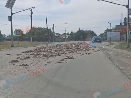 В Ростовской области по дороге разбросало сотни дохлых индюшек