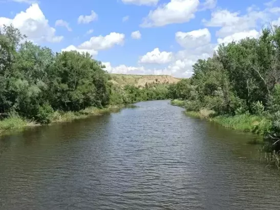 В Батайске мужчина утонул в реке Койсуг