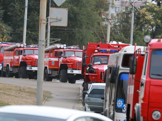 В Ростовской области почти полсотни спасателей тушат пожар в лесничестве