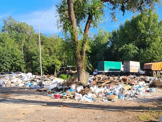 В Ростове в парке Чуковского появилась стихийная свалка