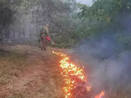 Лесной пожар в Милютинском районе полностью ликвидировали
