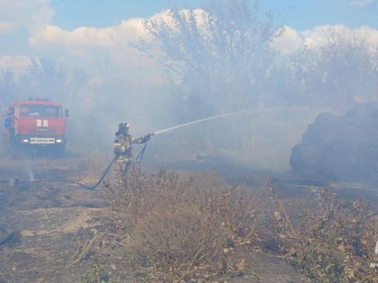 Виновницей крупного ландшафтного пожара в Ростовской области оказалась 55-летняя женщина