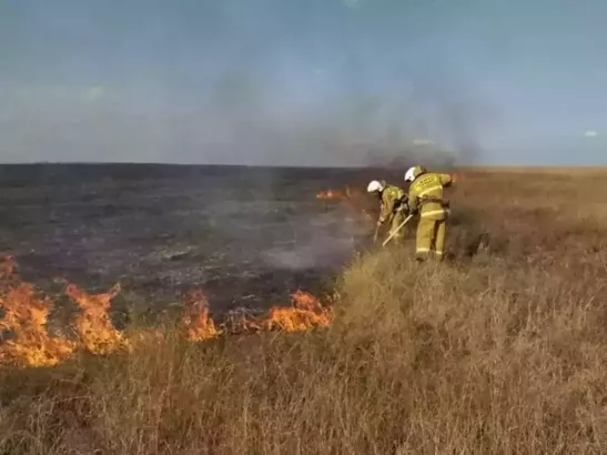 В сентябре в Ростовской области уровень пожароопасности превысит многолетние значения