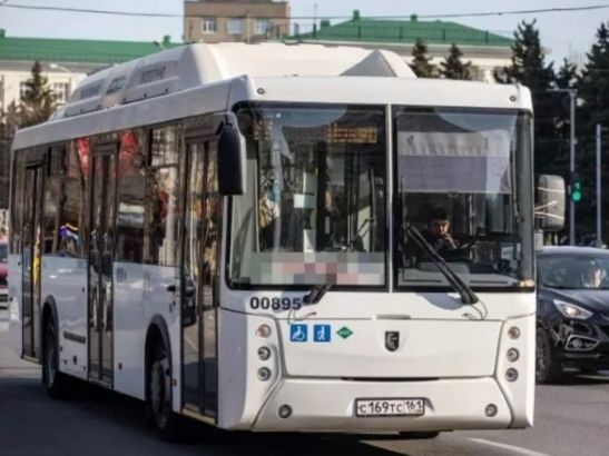 В Ростове оштрафовали водителя автобуса, который высадил детей