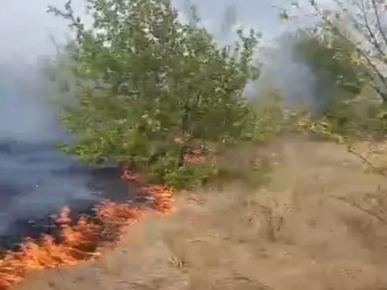 Ландшафтный пожар в Аксайском районе перешел на жилой дом и подобрался к АЗС