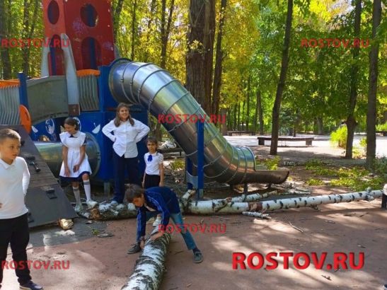 В Батайске дерево рухнуло на ребенка на детской площадке