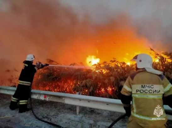 В Ростовской области разгорелся крупный ландшафтный пожар