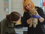 В Южном парке «Малинки» малолетние живодеры сломали лапы кролику