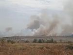 В Ростовской области 4 сентября тушат крупный ландшафтный пожар