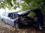 Водитель легковушки врезался в дерево из-за густого тумана в Ростовской области