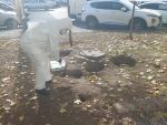В центре Ростова пришлось обработать несколько гектаров территории от крыс