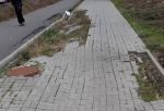 Жители Левенцовки в Ростове возмущены состоянием тротуара