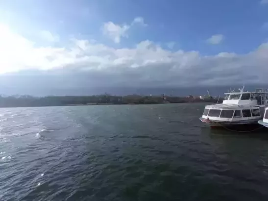 Труп мужчины нашли при пожаре на сухогрузе в порту Ростова