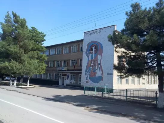 В Ростовской области арестовали мужчину за попытку поджога Дома пионеров