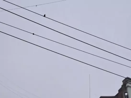 В Таганроге отменили угрозу ракетной опасности 31 декабря