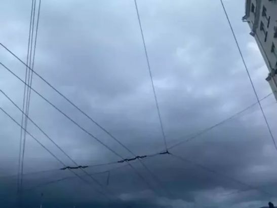 В Ростове-на-Дону на новой рабочей неделе ожидаются заморозки до -4