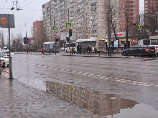 В Ростове обнаружили 12 нарушений в работе автобусов в Суворовском