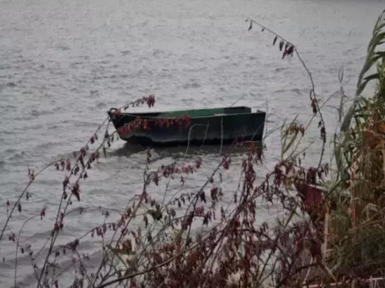 Снижение уровня воды в Дону прогнозируют в Ростовской области
