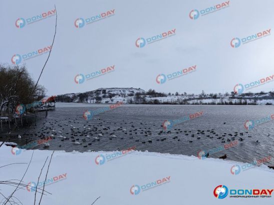Хищные птицы Южного парка «Малинки» наслаждаются зимой