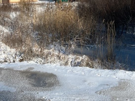 На уборку улиц от снега в Ростове вышли только 30% дворников