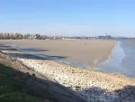Штормовое предупреждение ввели из-за понижения уровня воды в реке Дон