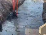 Загрязненный ручей в Батайске начали очищать от сточных вод