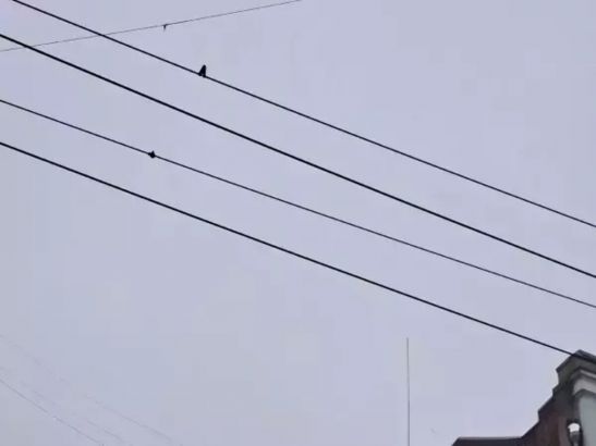 Из-за угрозы взрывов в Ростовской области ввели режим повышенной готовности