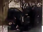 В Ростове нашли тело мужчины на лавочке у дома
