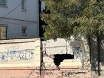 В Ростове обваливается кирпичный забор в районе Нахичевани