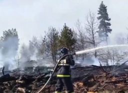 В Ростовской области потушили ландшафтный пожар в лесу