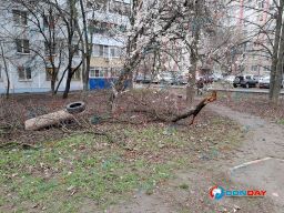 Жильцы дома на Королева три года не могут добиться уборки во дворе