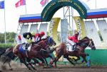 Новый сезон скачек на ростовском ипподроме откроют 27 апреля