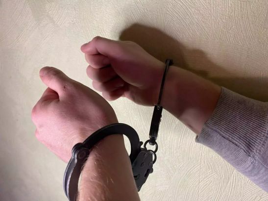 Блогера из Ростова задержали по подозрению в распространении частных видео