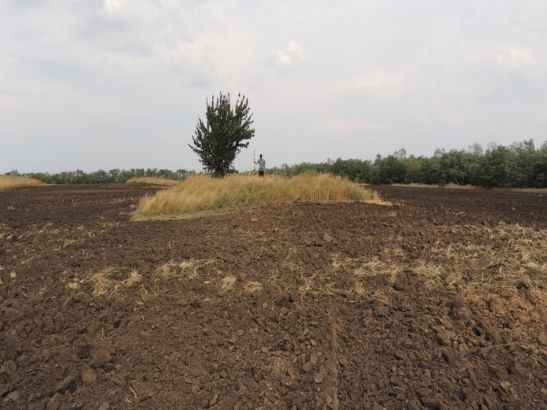 В Ростовской области объектами культурного наследия признали 24 кургана